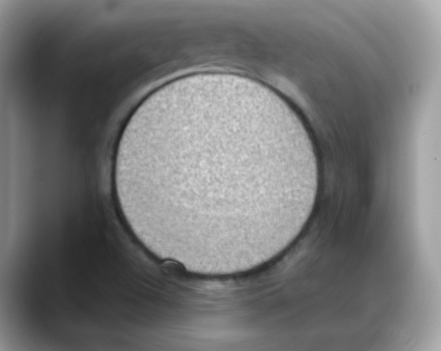 X0000088151504200706111434