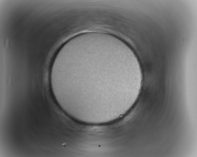 X0000088151506200706111434