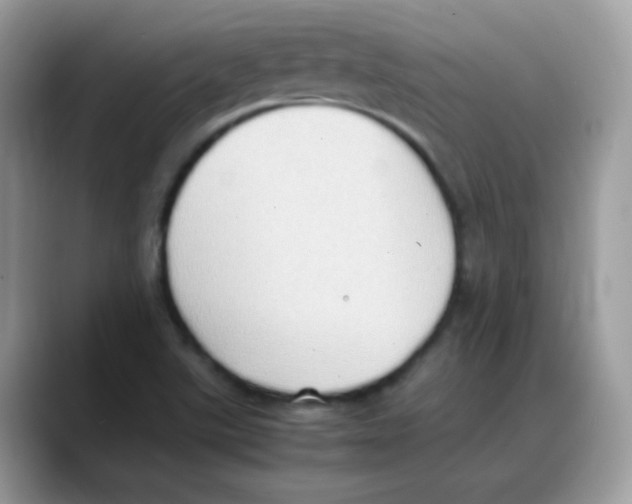 X0000088151507200706111434