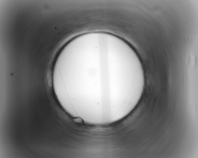 X0000088151510200706111434