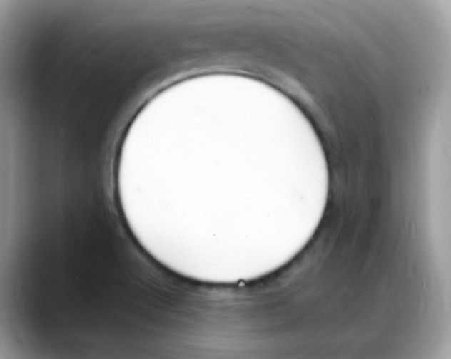 X0000088151512200706111434