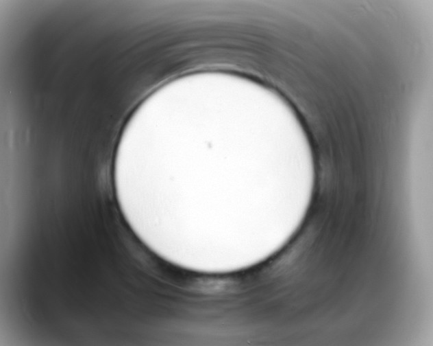 X0000088151513200706111434