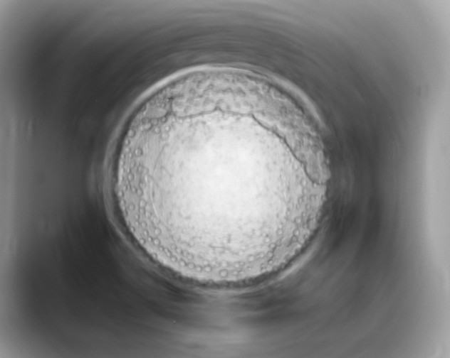 X0000088151514200706111434