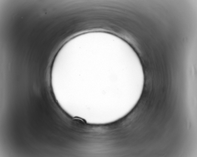 X0000088151516200706111434