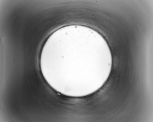 X0000088151517200706111434