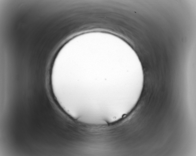 X0000088151518200706111434