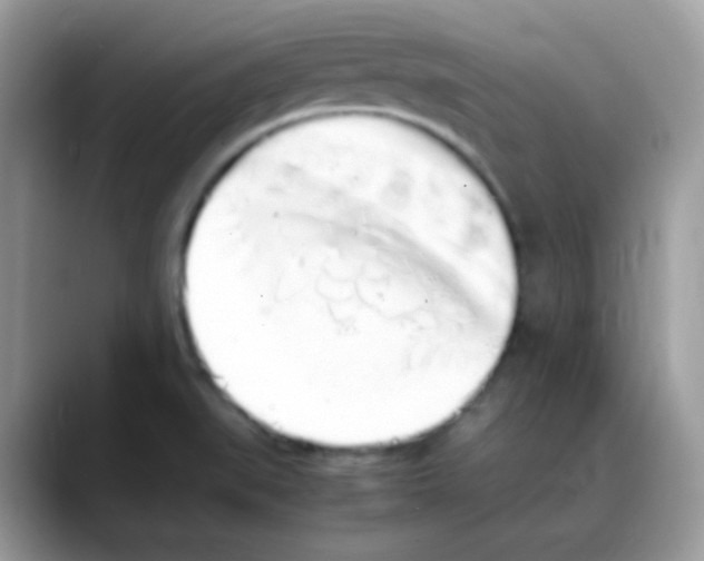 X0000088151519200706111434