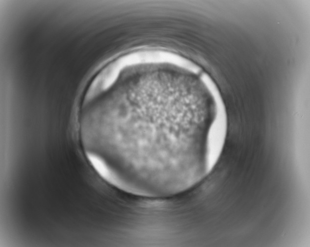 X0000088151522200706111434