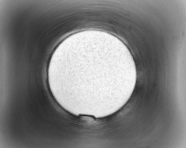 X0000088151523200706111434