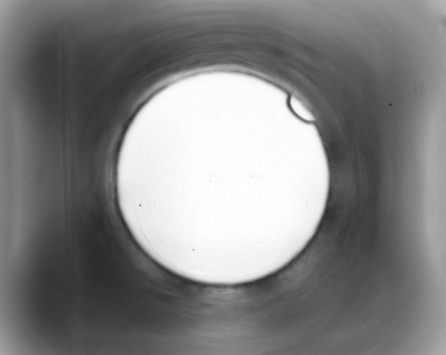 X0000088151526200706111434