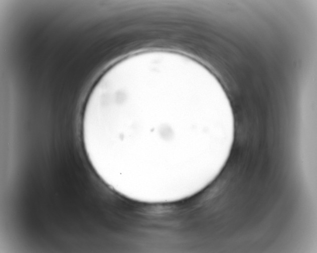 X0000088151527200706111434