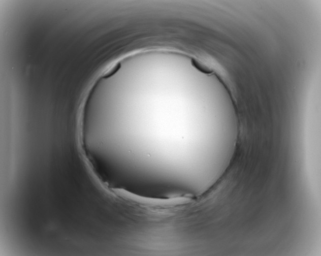 X0000088151528200706111434