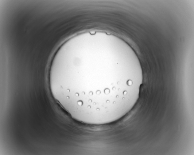 X0000088151530200706111434