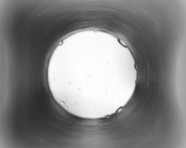 X0000088151532200706111434