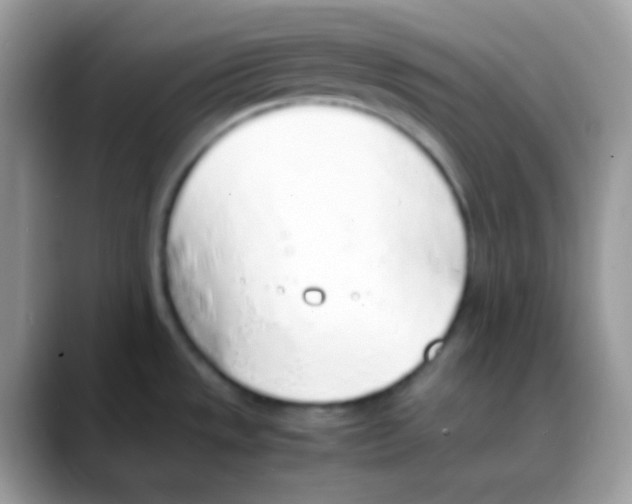 X0000088151533200706111434