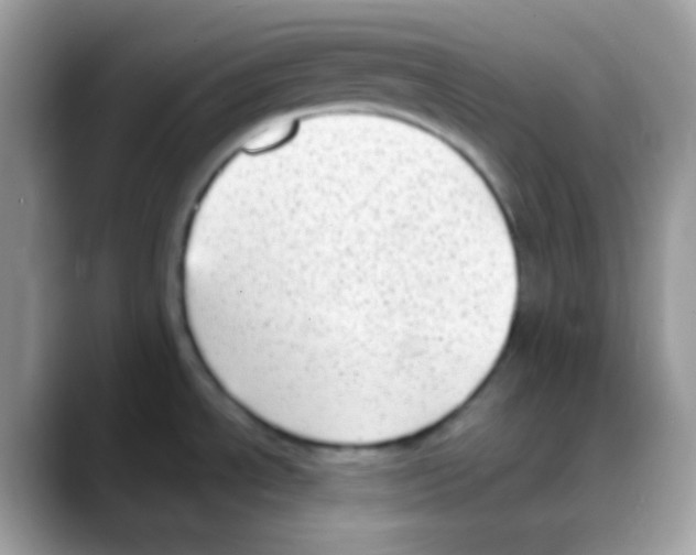 X0000088151534200706111434