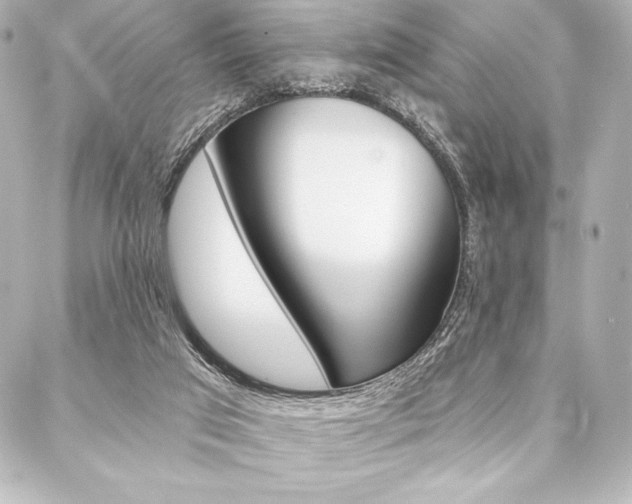 X0000088160017200705150937