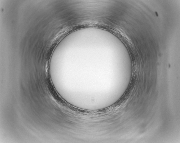 X0000088160024200705150937
