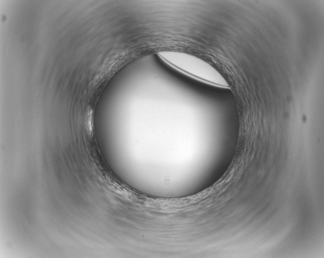 X0000088160041200705150936