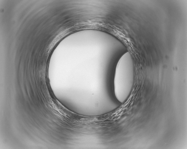 X0000088160051200705150936