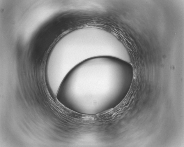X0000088160052200705150936
