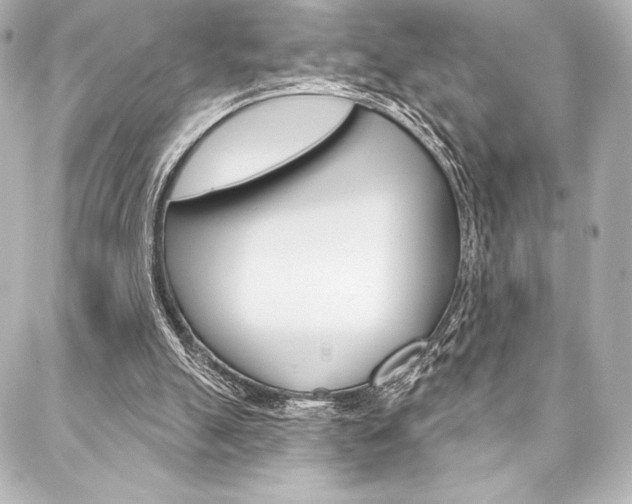 X0000088160055200705150936