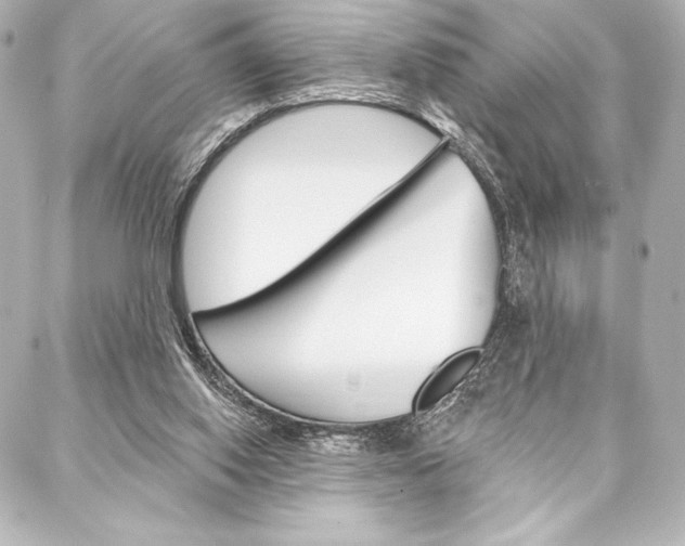 X0000088160062200705150936