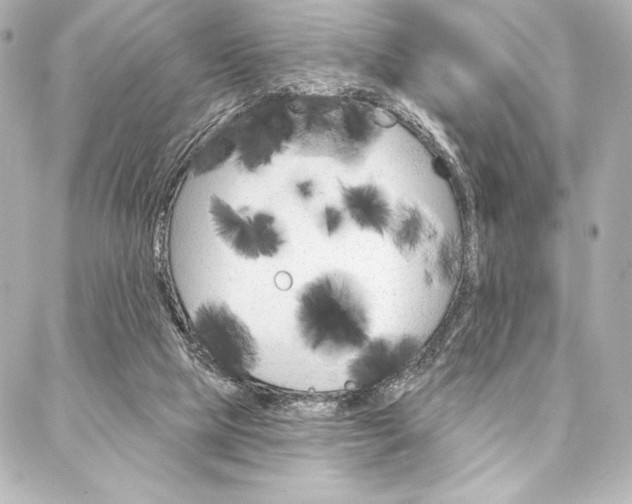 X0000088160065200705150936