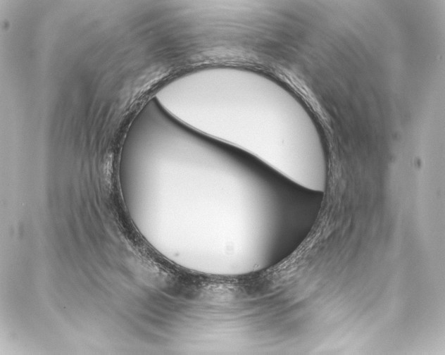 X0000088160066200705150936