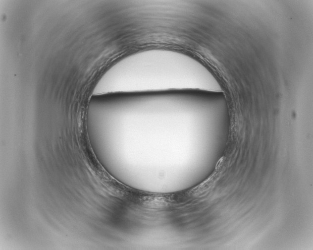X0000088160074200705150936