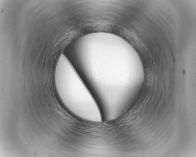 X0000088160077200705150936