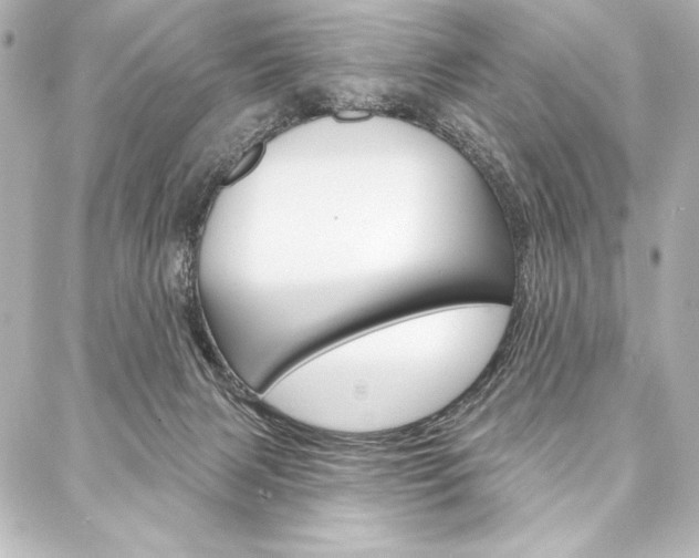 X0000088160079200705150936