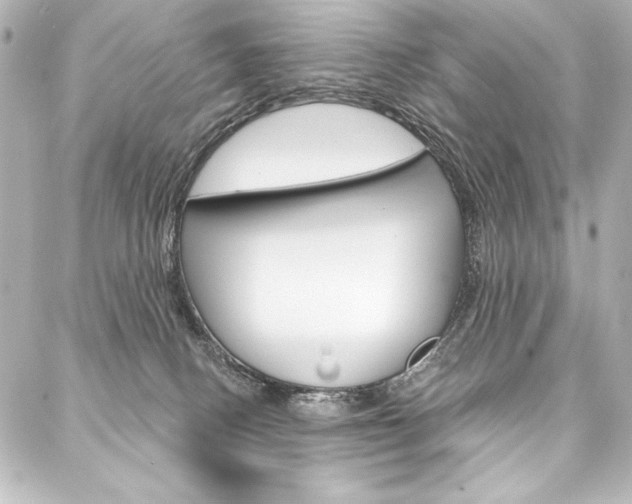 X0000088160082200705150936