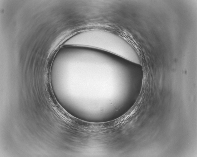 X0000088160101200705150935