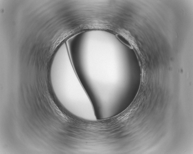 X0000088160109200705150935