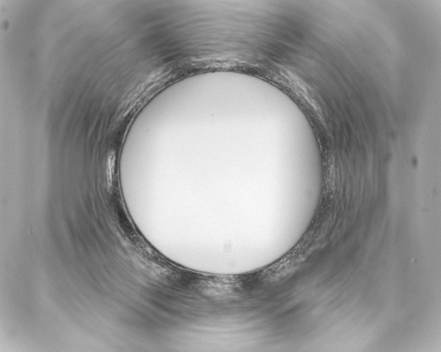 X0000088160118200705150935