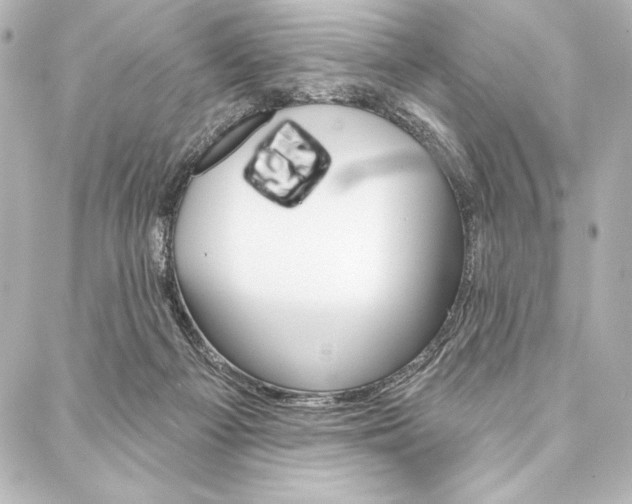 X0000088160121200705150935
