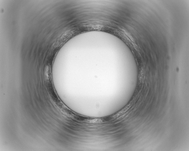 X0000088160122200705150935