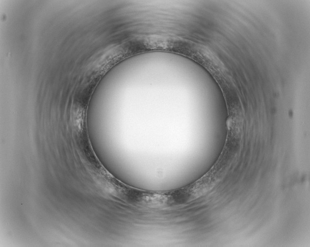 X0000088160125200705150935