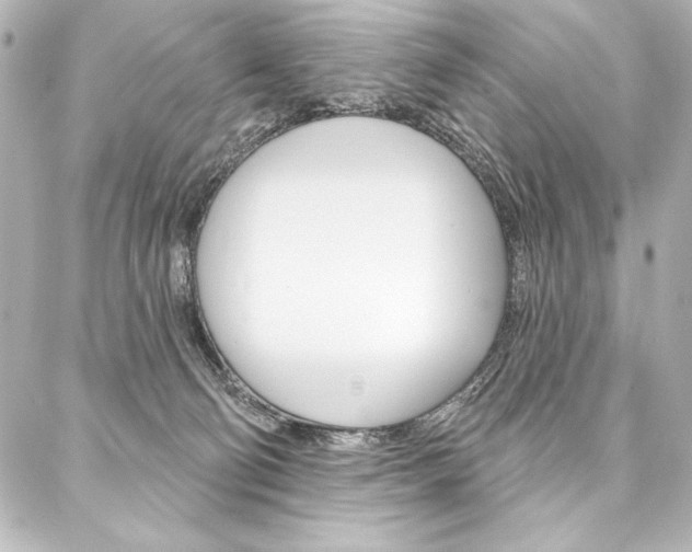 X0000088160130200705150935