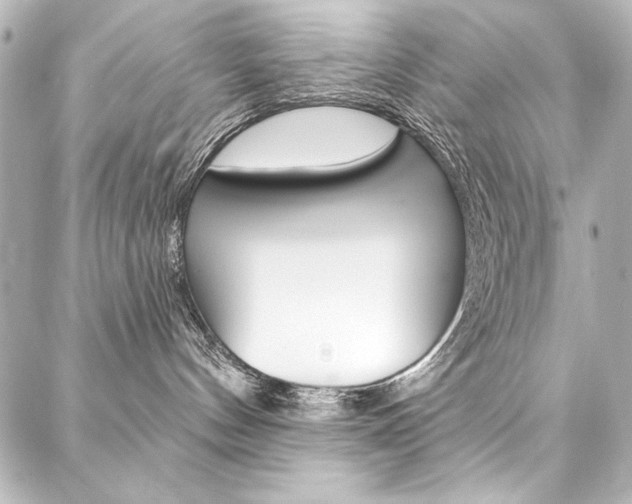 X0000088160144200705150935