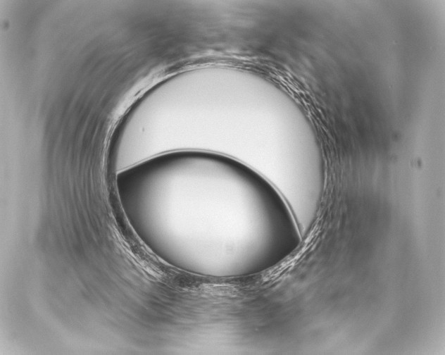 X0000088160150200705150934