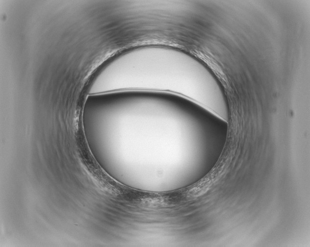 X0000088160160200705150934