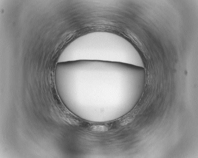 X0000088160169200705150934