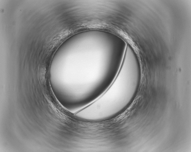 X0000088160201200705150934