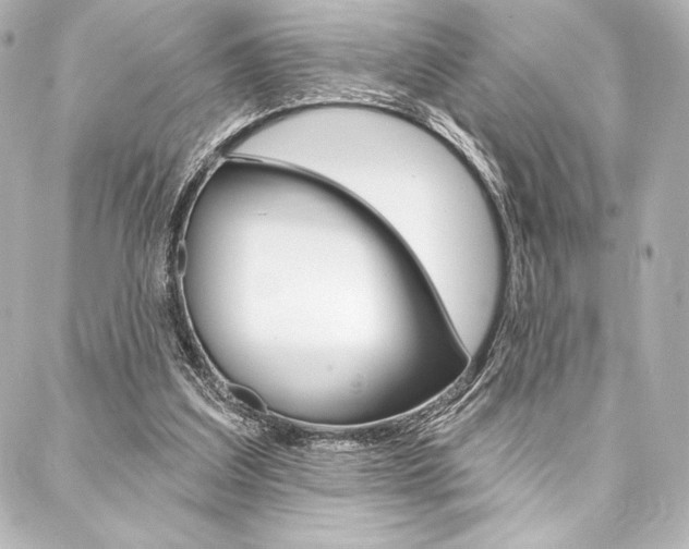 X0000088160203200705150934