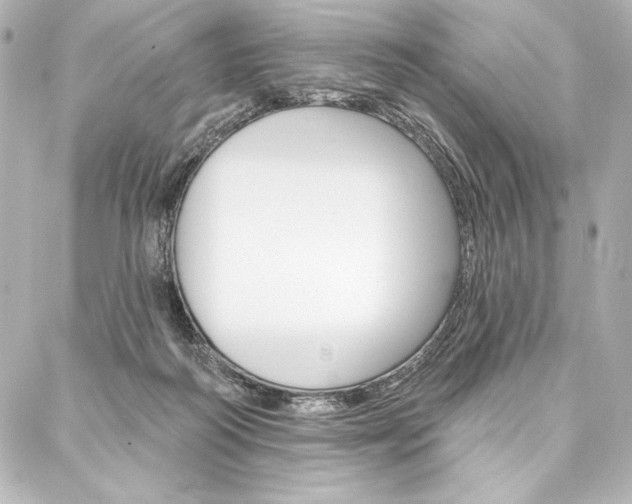 X0000088160218200705150934