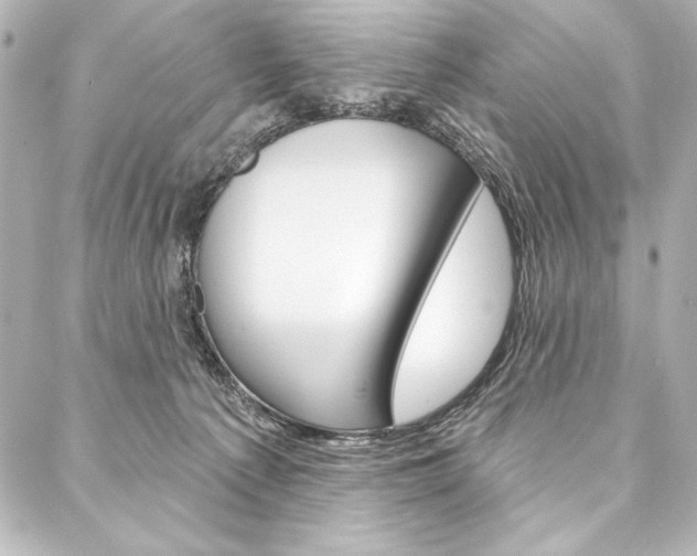 X0000088160225200705150933