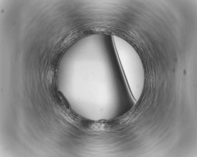 X0000088160227200705150933