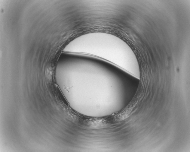 X0000088160235200705150933